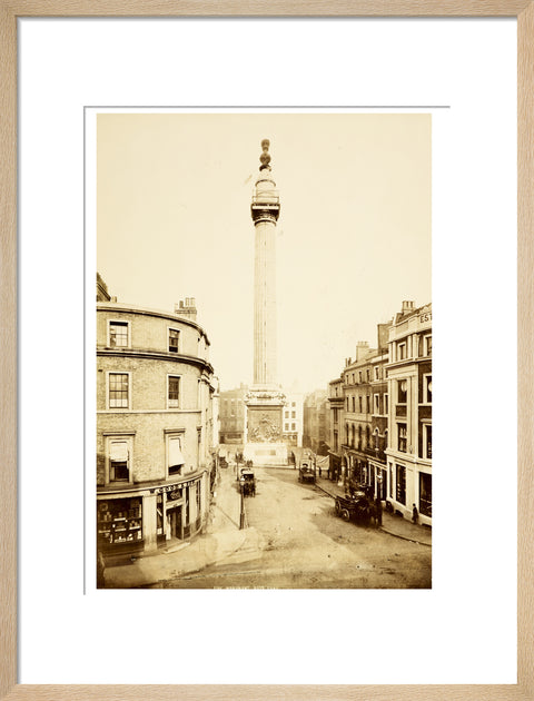 The Monument to the Great Fire of London c.1890