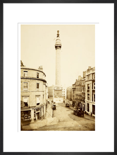The Monument to the Great Fire of London c.1890