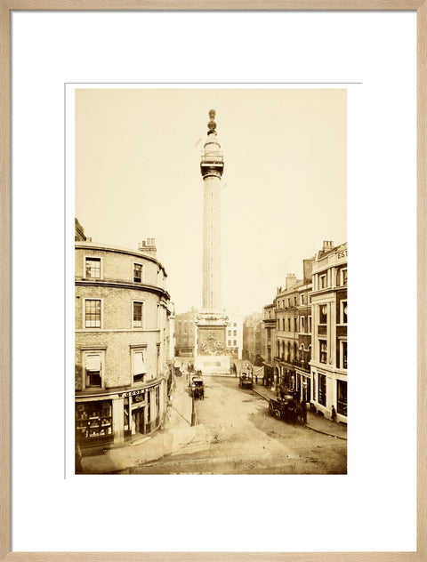 The Monument to the Great Fire of London c.1890