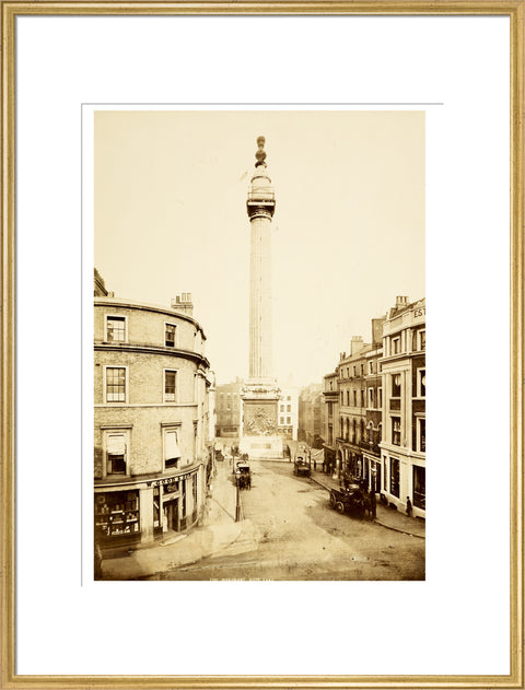 The Monument to the Great Fire of London c.1890