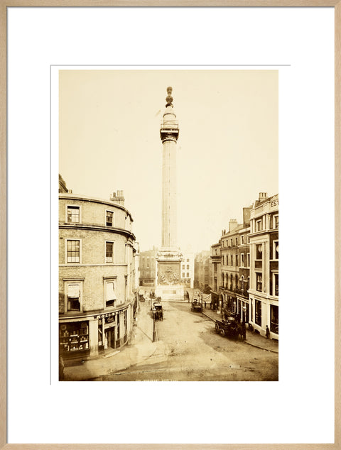 The Monument to the Great Fire of London c.1890