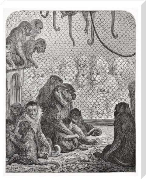 Zoological Gardens - the monkey house 1872