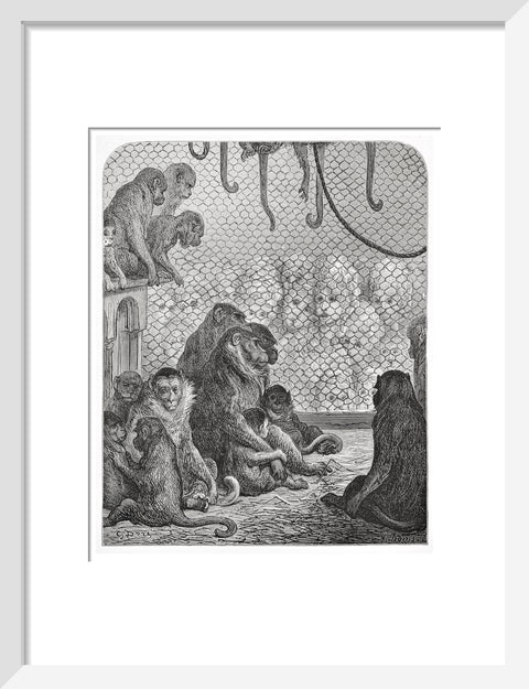 Zoological Gardens - the monkey house 1872