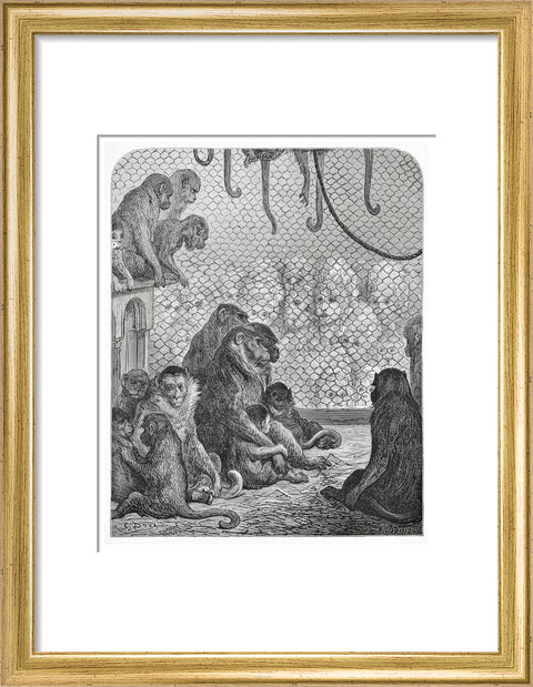 Zoological Gardens - the monkey house 1872