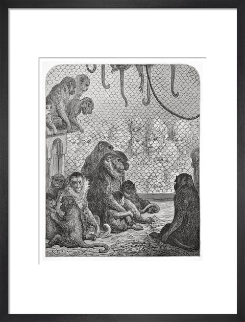 Zoological Gardens - the monkey house 1872