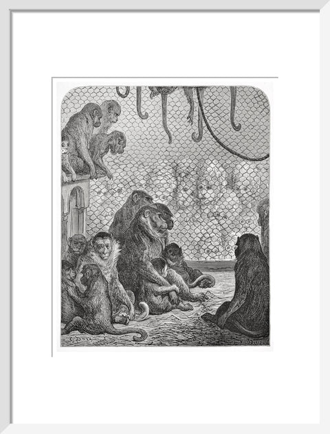 Zoological Gardens - the monkey house 1872
