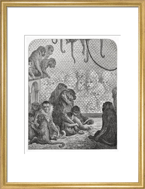 Zoological Gardens - the monkey house 1872