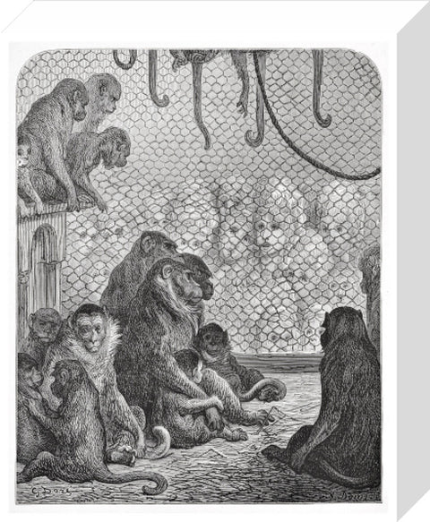 Zoological Gardens - the monkey house 1872