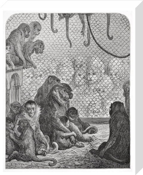 Zoological Gardens - the monkey house 1872
