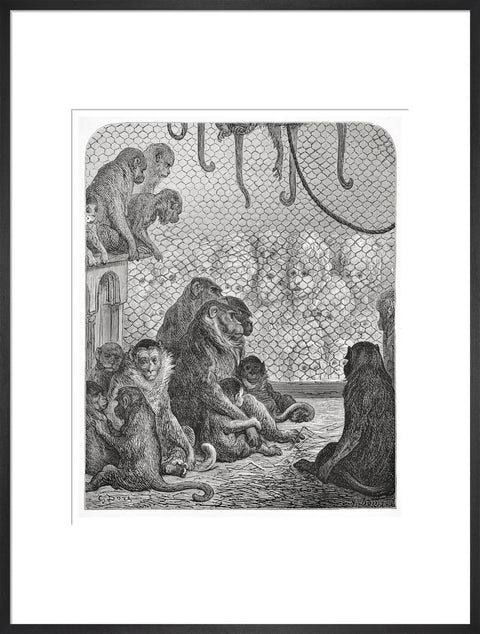 Zoological Gardens - the monkey house 1872
