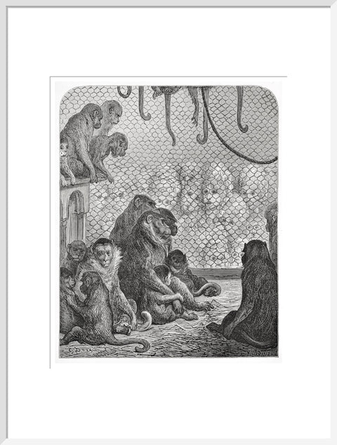 Zoological Gardens - the monkey house 1872
