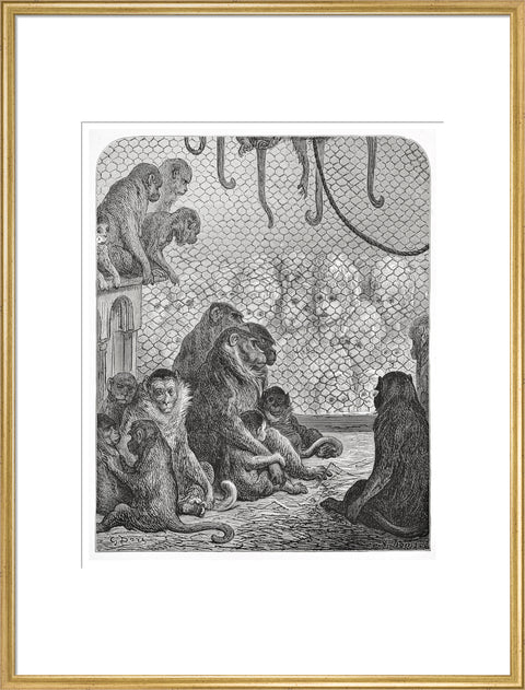 Zoological Gardens - the monkey house 1872