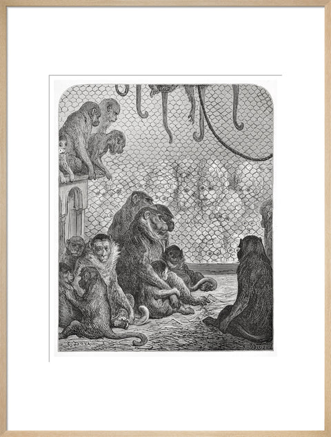 Zoological Gardens - the monkey house 1872