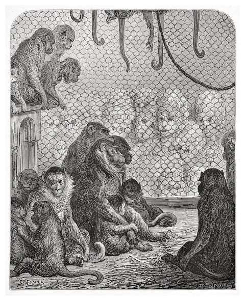 Zoological Gardens - the monkey house 1872