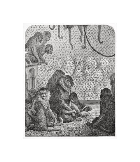 Zoological Gardens - the monkey house 1872