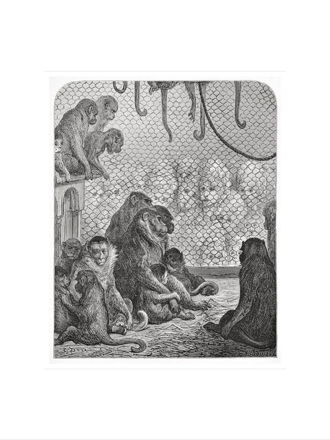 Zoological Gardens - the monkey house 1872