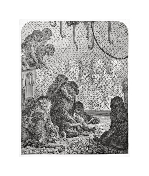 Zoological Gardens - the monkey house 1872