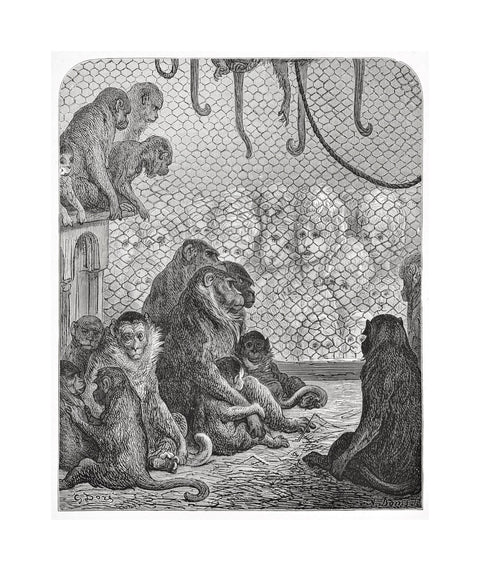 Zoological Gardens - the monkey house 1872
