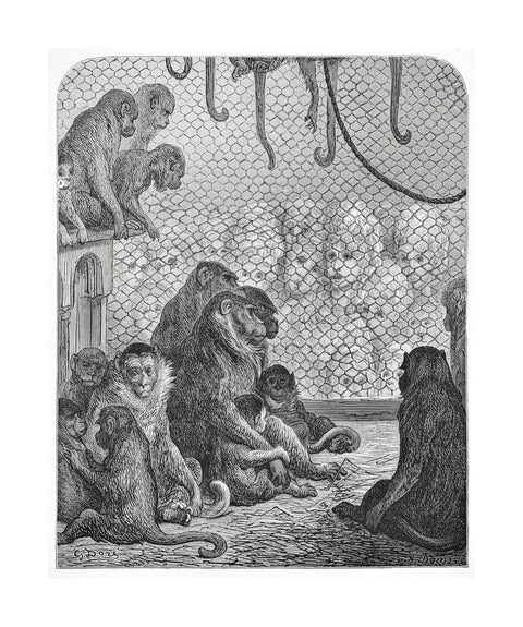 Zoological Gardens - the monkey house 1872
