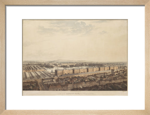 The London Dock from St George's 1816