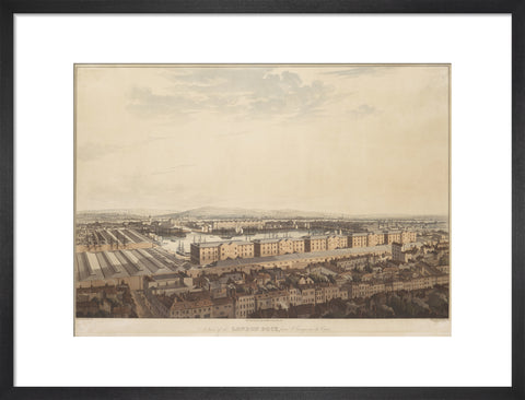 The London Dock from St George's 1816