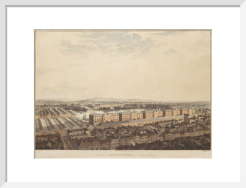 The London Dock from St George's 1816