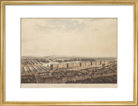 The London Dock from St George's 1816