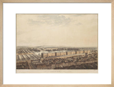 The London Dock from St George's 1816
