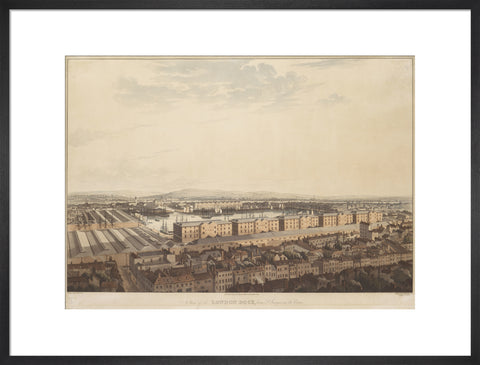 The London Dock from St George's 1816
