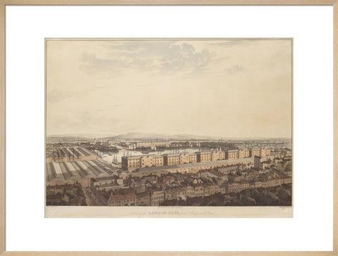 The London Dock from St George's 1816