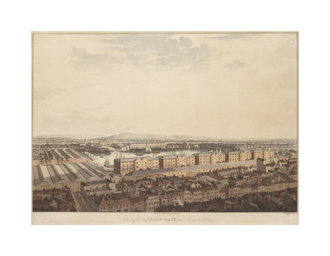 The London Dock from St George's 1816