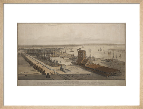 A View of the London Dock from the west 1808
