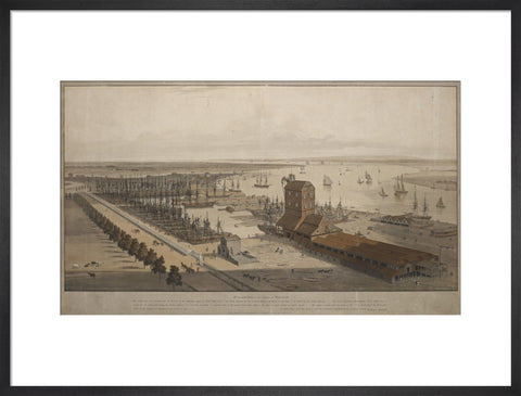 A View of the London Dock from the west 1808