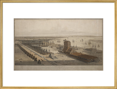 A View of the London Dock from the west 1808