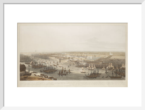 A View of the London Docks 1808