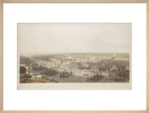 A View of the London Docks 1808