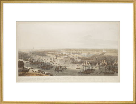 A View of the London Docks 1808