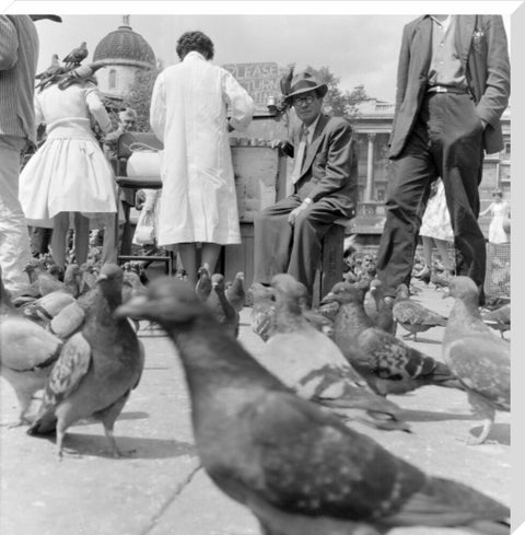 Crowds and pigeons in Trafalgar Square 1960