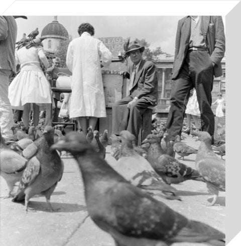 Crowds and pigeons in Trafalgar Square 1960