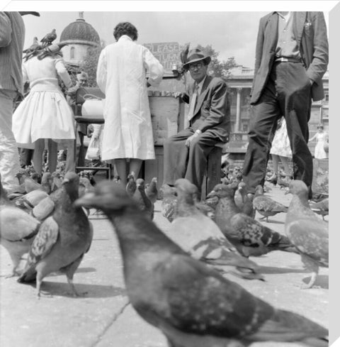 Crowds and pigeons in Trafalgar Square 1960
