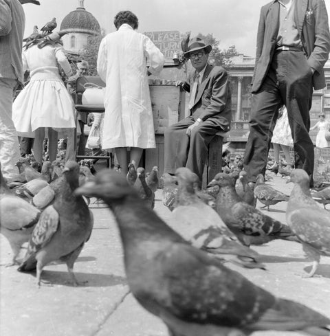 Crowds and pigeons in Trafalgar Square 1960
