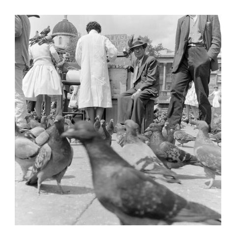 Crowds and pigeons in Trafalgar Square 1960