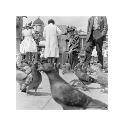 Crowds and pigeons in Trafalgar Square 1960
