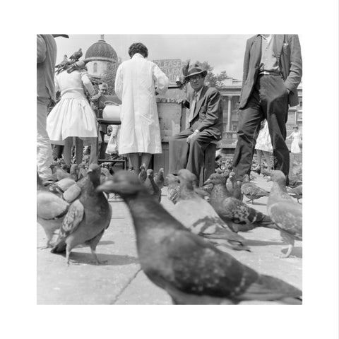 Crowds and pigeons in Trafalgar Square 1960