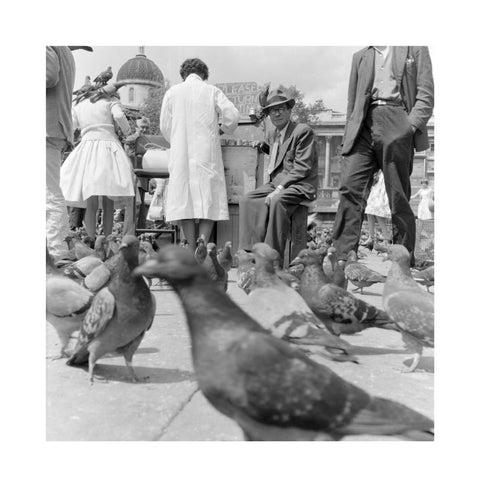 Crowds and pigeons in Trafalgar Square 1960