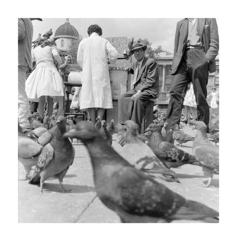Crowds and pigeons in Trafalgar Square 1960