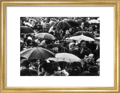 A crowd huddled underneath umbrellas in the rain 1961