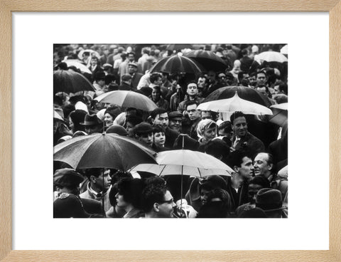 A crowd huddled underneath umbrellas in the rain 1961