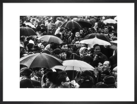 A crowd huddled underneath umbrellas in the rain 1961