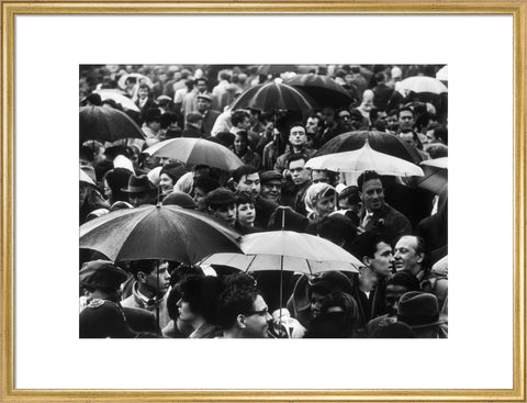 A crowd huddled underneath umbrellas in the rain 1961